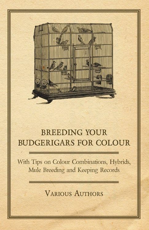 Produktbild: Breeding your Budgerigars for Colour - With Tips on Colour Combinations, Hybrids, Mule Breeding and Keeping Records