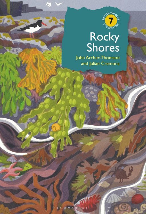 Produktbild: Rocky Shores