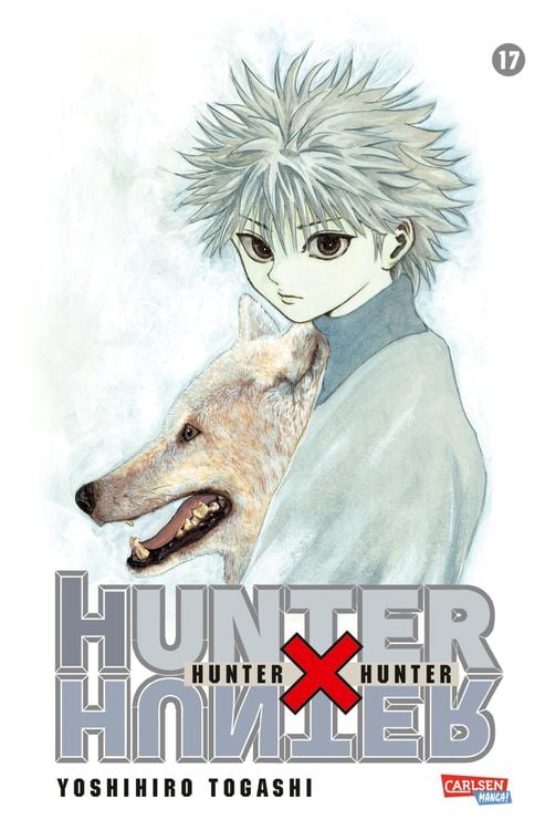 Bild vom Artikel Hunter X Hunter 17 vom Autor Yoshihiro Togashi