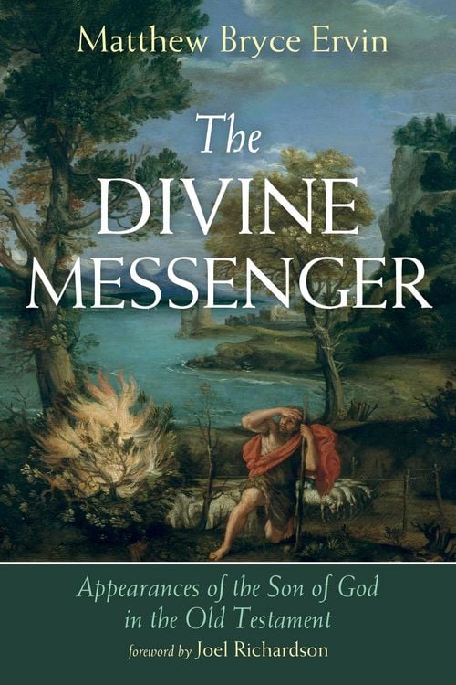 Produktbild: The Divine Messenger