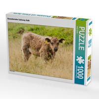Produktbild: CALVENDO Puzzle Bezauberndes Galloway Kalb | 1000 Teile Lege-Gr&ouml;&szlig;e 64x48cm Foto-Puzzle f&uuml;r gl&uuml;ckliche Stunden