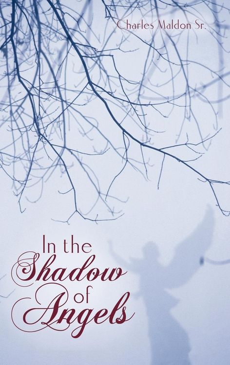 Produktbild: In the Shadow of Angels