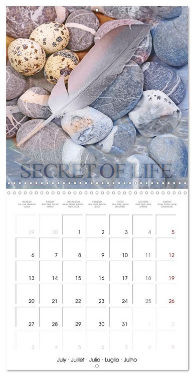 Produktbild: Life is better at the sea (Wall Calendar 2026 12 &times; 12 Inch) CALVENDO 12 Month Wall Calendar