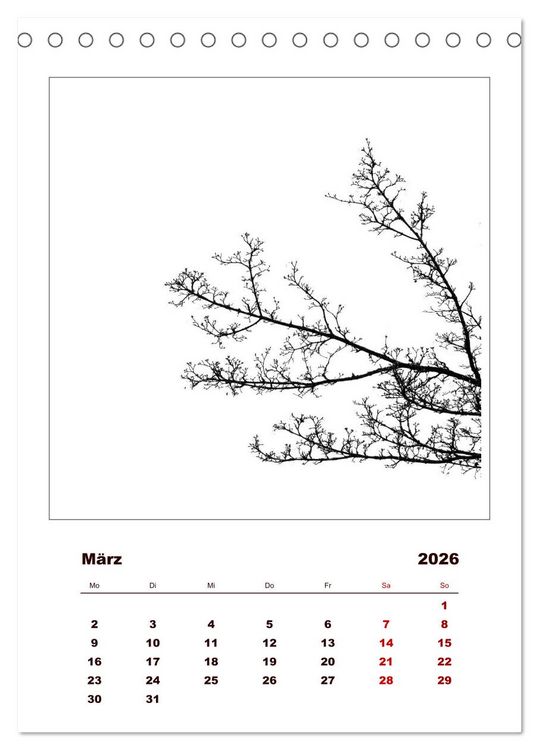 Produktbild: LignoGrafica - Muster und Strukturen der B&auml;ume (Tischkalender 2026 DIN A5 hoch), CALVENDO Monatskalender