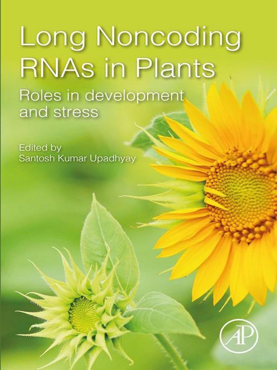 Produktbild: Long Noncoding RNAs in Plants