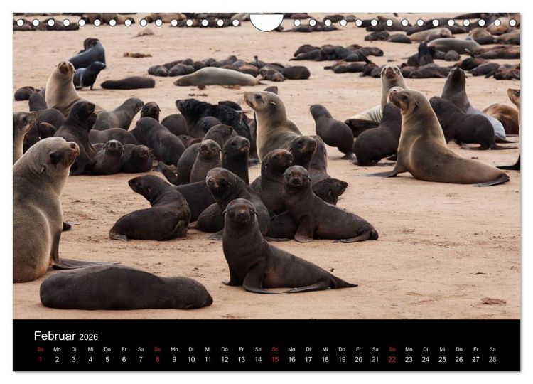 Produktbild: Namibias Tiere: von gro&szlig; bis klein (Wandkalender 2026 DIN A4 quer), CALVENDO Monatskalender