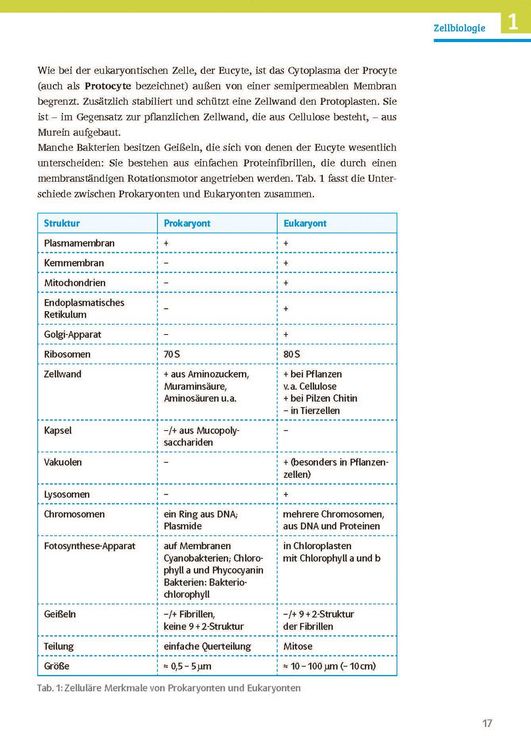 Produktbild: Klett Sicher im Abi Biologie