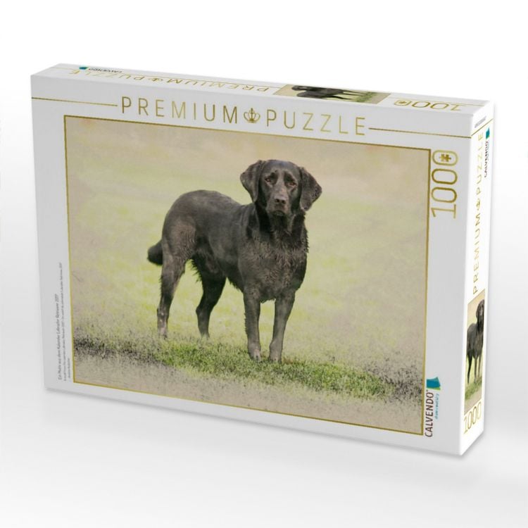 Produktbild: CALVENDO Puzzle Ein Motiv aus dem Kalender Labrador Retriever 2017 | 1000 Teile Lege-Gr&ouml;&szlig;e 64x48cm Foto-Puzzle f&uuml;r gl&uuml;ckliche Stunden