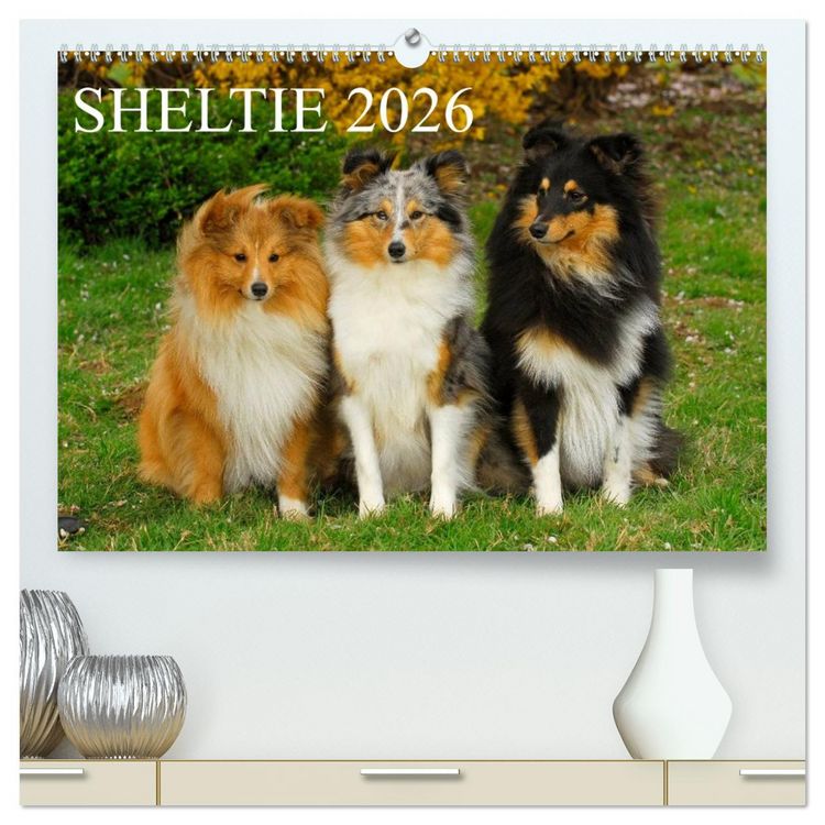 Produktbild: Sheltie 2026 (hochwertiger Premium Wandkalender 2026 DIN A2 quer), Kunstdruck in Hochglanz