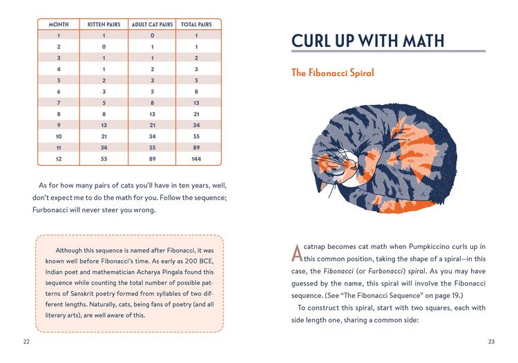 Produktbild: Math Cats