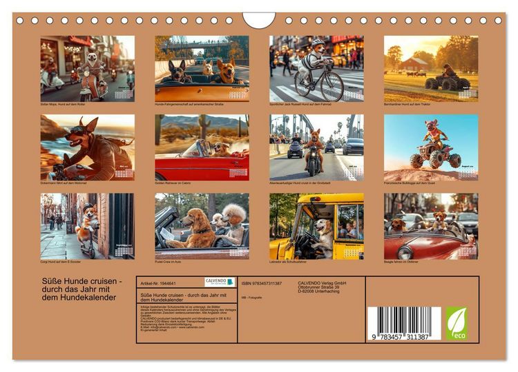 Produktbild: S&uuml;&szlig;e Hunde cruisen - durch das Jahr mit dem Hundekalender (Wandkalender 2026 DIN A4 quer), CALVENDO Monatskalender
