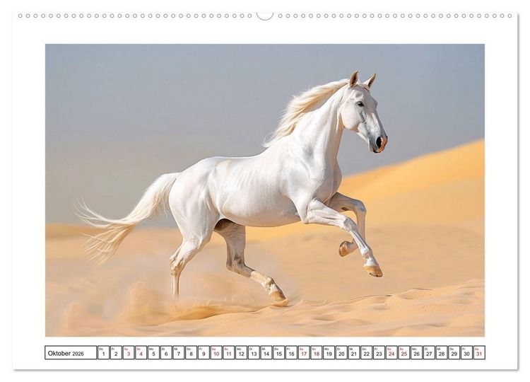 Produktbild: Bezaubernde Eleganz wei&szlig;er Pferde (Wandkalender 2026 DIN A2 quer), CALVENDO Monatskalender