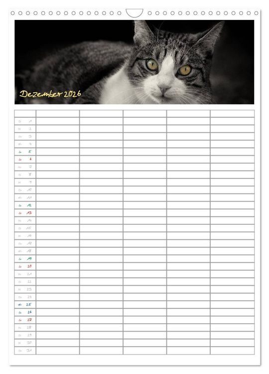 Produktbild: Miezekatzen Planungskalender (Wandkalender 2026 DIN A3 hoch), CALVENDO Monatskalender