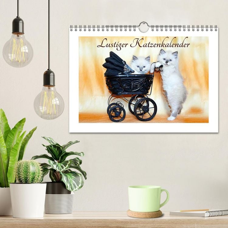 Produktbild: Lustiger Katzenkalender (Wandkalender 2026 DIN A4 quer), CALVENDO Monatskalender