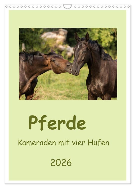 Produktbild: Pferde - Kameraden mit vier Hufen (Wandkalender 2026 DIN A3 hoch), CALVENDO Monatskalender