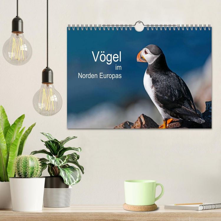 Produktbild: V&ouml;gel im Norden Europas (Wandkalender 2026 DIN A4 quer), CALVENDO Monatskalender