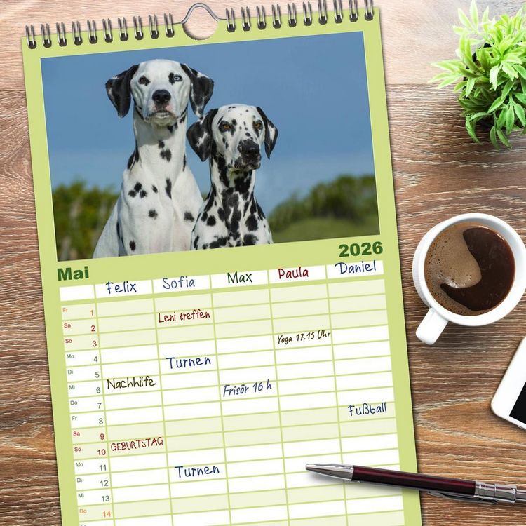 Produktbild: Familienplaner 2026 - Auf den Punkt - Dalmatiner mit 5 Spalten (Wandkalender, 21 x 45 cm) CALVENDO