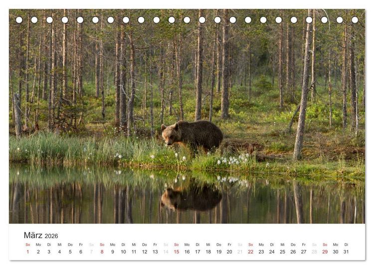 Produktbild: Naturparadies Finnland (Tischkalender 2026 DIN A5 quer), CALVENDO Monatskalender