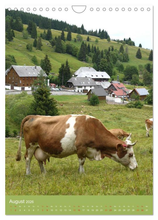 Produktbild: Schwarzwald und K&uuml;he im Hochformat (Wandkalender 2026 DIN A4 hoch), CALVENDO Monatskalender