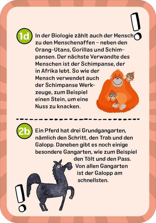 Produktbild: Das ultimative Wissens-Quiz