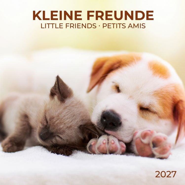 Produktbild: Kleine Freunde / Little Friends 2027