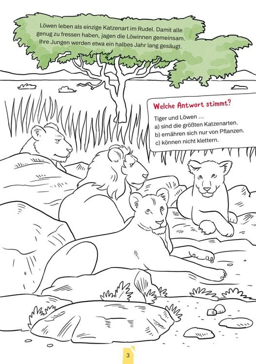 Produktbild: Conni Gelbe Reihe (Besch&auml;ftigungsbuch): Tierischer Mal- und Bastelspa&szlig;