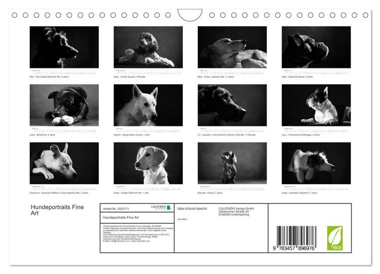 Produktbild: Hundeportraits Fine Art (Wandkalender 2026 DIN A4 quer), CALVENDO Monatskalender