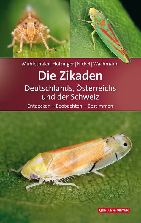 Produktbild: Die Zikaden Deutschlands, Österreichs und der Schweiz