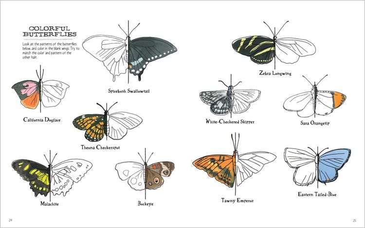 Produktbild: Julia Rothman's Nature Anatomy Activity Book