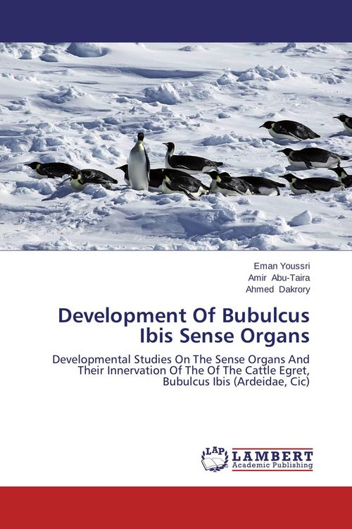 Produktbild: Development Of Bubulcus Ibis Sense Organs
