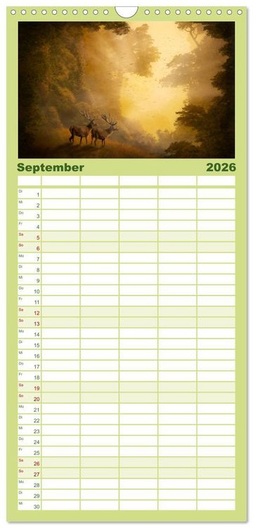Produktbild: Familienplaner 2026 - Geheimnisse des alten Waldes mit 5 Spalten (Wandkalender, 21 x 45 cm) CALVENDO