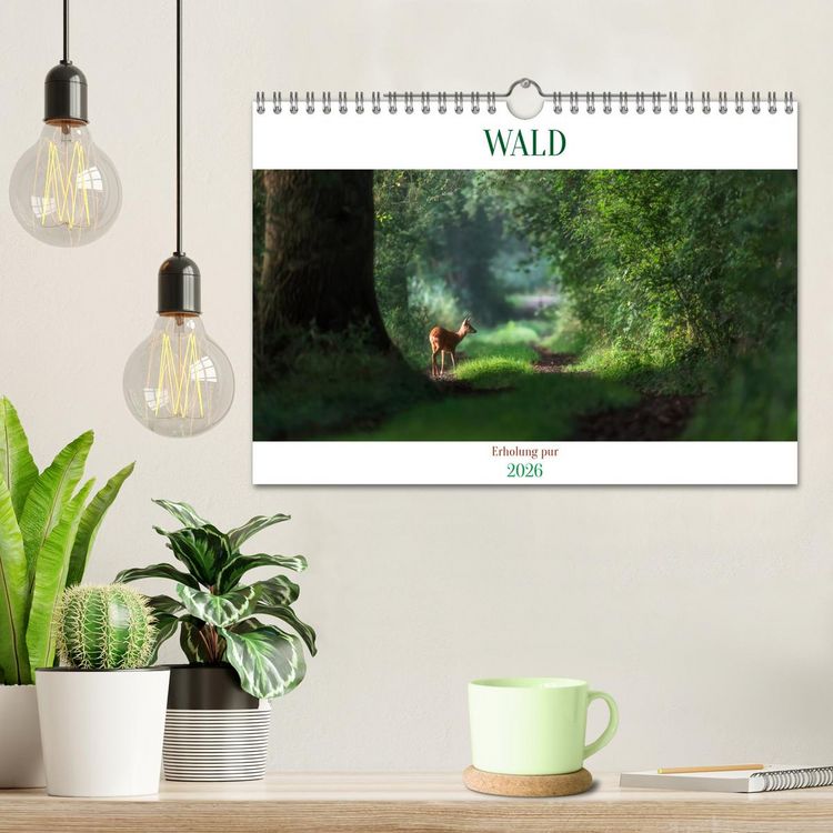Produktbild: WALD Erholung pur (Wandkalender 2026 DIN A4 quer), CALVENDO Monatskalender