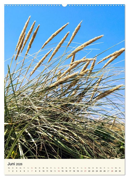 Produktbild: LANGEOOG Strandspaziergang (hochwertiger Premium Wandkalender 2026 DIN A2 hoch), Kunstdruck in Hochglanz