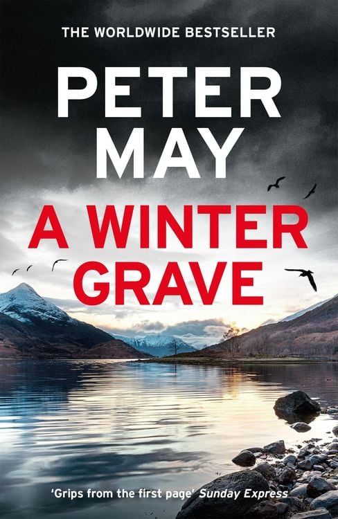 Bild vom Artikel A Winter Grave vom Autor Peter May