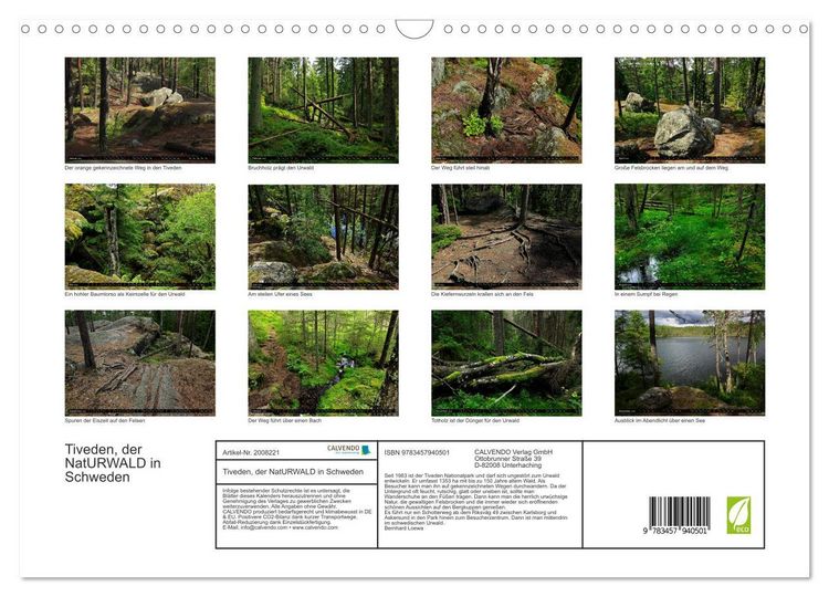 Produktbild: Tiveden, der NatURWALD in Schweden (Wandkalender 2026 DIN A3 quer), CALVENDO Monatskalender