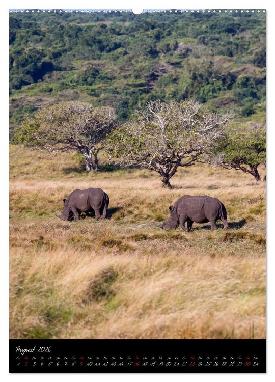 Produktbild: S&uuml;dafrika - Sehenswerte Panorama Route (hochwertiger Premium Wandkalender 2026 DIN A2 hoch), Kunstdruck in Hochglanz