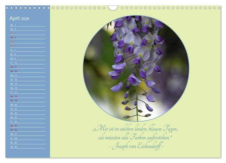 Produktbild: Flora in royalem Blau (Wandkalender 2026 DIN A3 quer), CALVENDO Monatskalender