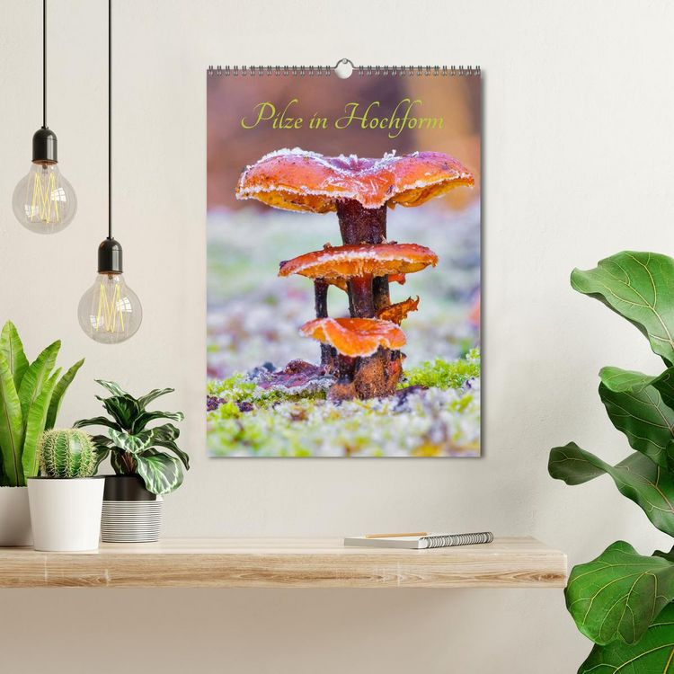 Produktbild: Pilze in Hochform (Wandkalender 2026 DIN A3 hoch), CALVENDO Monatskalender