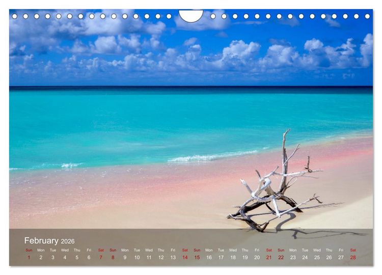 Produktbild: Dream Beaches worldwide (Wall Calendar 2026 DIN A4 landscape), CALVENDO 12 Month Wall Calendar