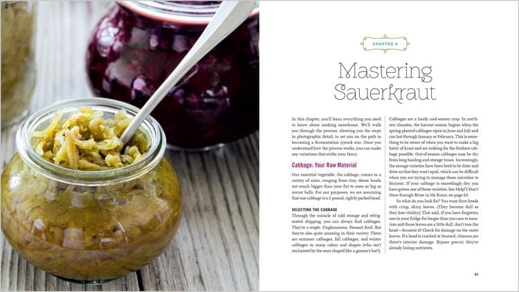 Produktbild: Fermented Vegetables, 10th Anniversary Edition