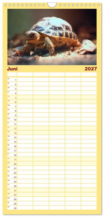 Produktbild: Familienplaner 2027 - Schildkr&ouml;ten - Gepanzerte Urzeitwesen mit 5 Spalten (Wandkalender, 21 x 45 cm) CALVENDO