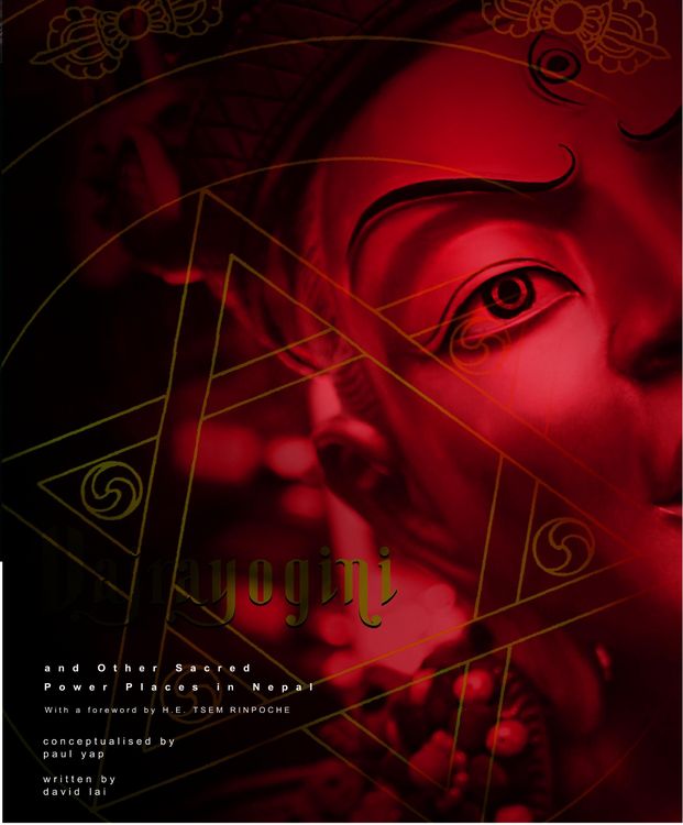 Produktbild: Vajrayogini and Other Sacred Power Places in Nepal