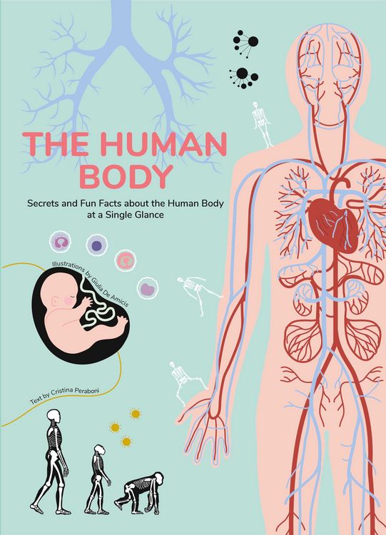 Produktbild: The Human Body Mysteries Explained