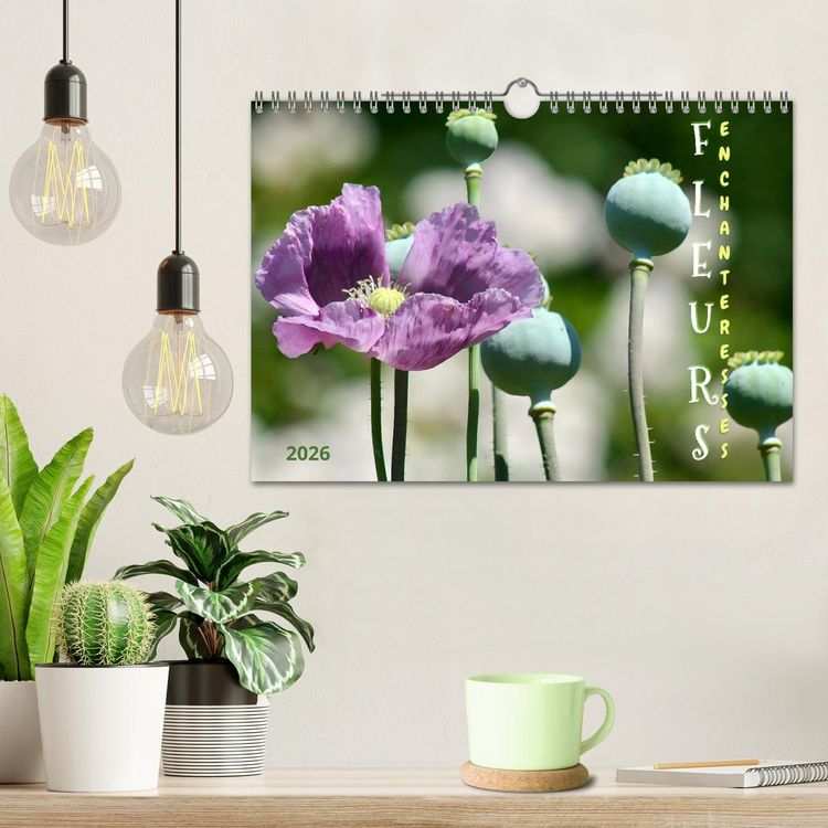 Produktbild: DES FLEURS ENCHANTERESSES (Calendrier mural 2026 DIN A4 vertical), CALVENDO calendrier mensuel