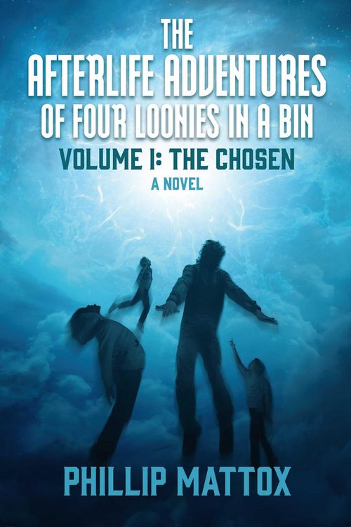 Produktbild: Afterlife Adventures of Four Loonies in a Bin