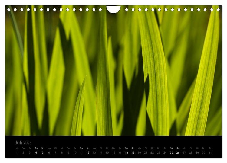 Produktbild: Natur im Detail (Wandkalender 2026 DIN A4 quer), CALVENDO Monatskalender