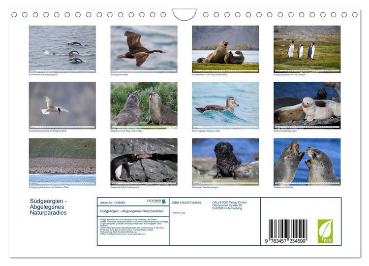 Produktbild: S&uuml;dgeorgien - Abgelegenes Naturparadies (Wandkalender 2026 DIN A4 quer), CALVENDO Monatskalender