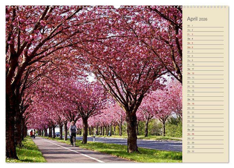 Produktbild: Magdeburg an der Elbe 2026 (hochwertiger Premium Wandkalender 2026 DIN A2 quer), Kunstdruck in Hochglanz