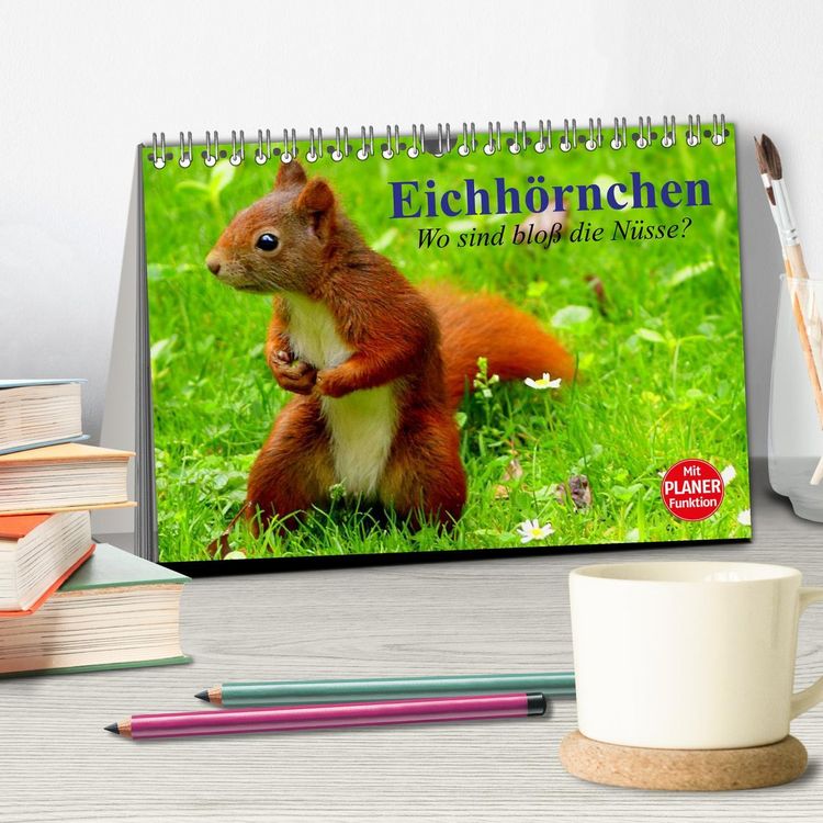 Produktbild: Eichh&ouml;rnchen. Wo sind blo&szlig; die N&uuml;sse? (Tischkalender 2026 DIN A5 quer), CALVENDO Monatskalender