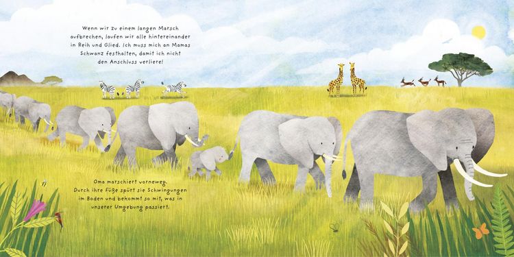 Produktbild: Kleine Tiere werden gro&szlig; - Der Elefant